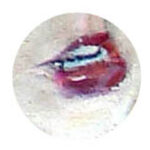 Romane_